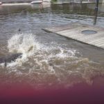 ording_04